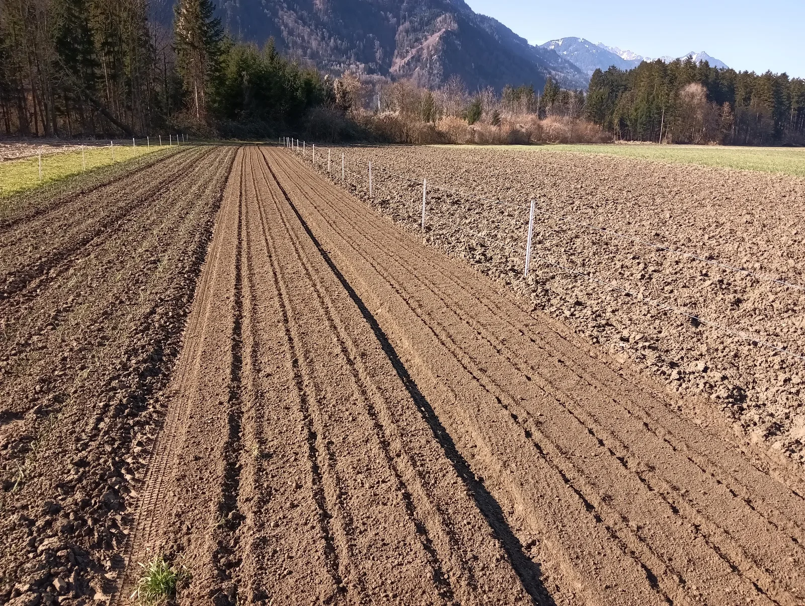Frisch gesätes Feld im Spätwinter, dahinter der Wald und die Berge